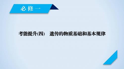 2019年高考生物人教版一轮复习课件：考能提升4