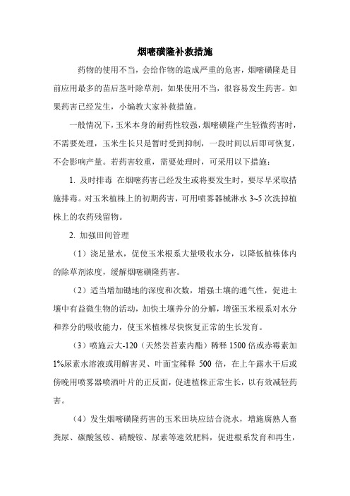 烟嘧磺隆补救措施.doc