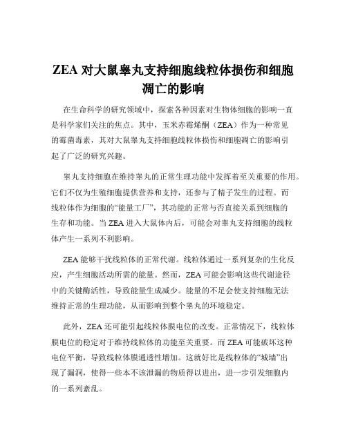 ZEA 对大鼠睾丸支持细胞线粒体损伤和细胞凋亡的影响