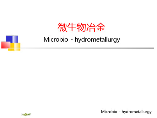 微生物冶PT课件全文可读