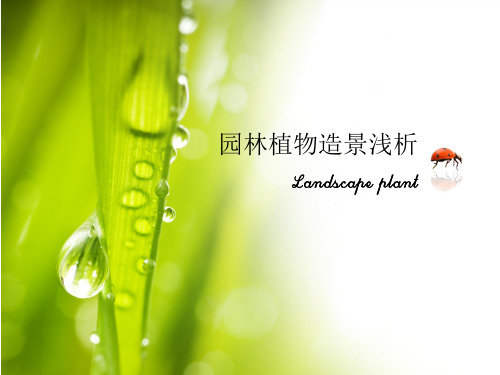 园林植物造景浅析PPT培训课件