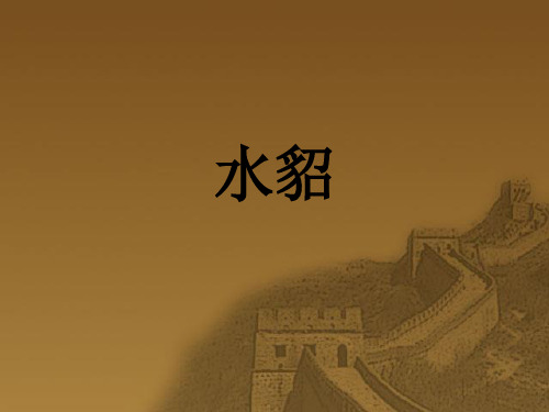 水貂的养殖