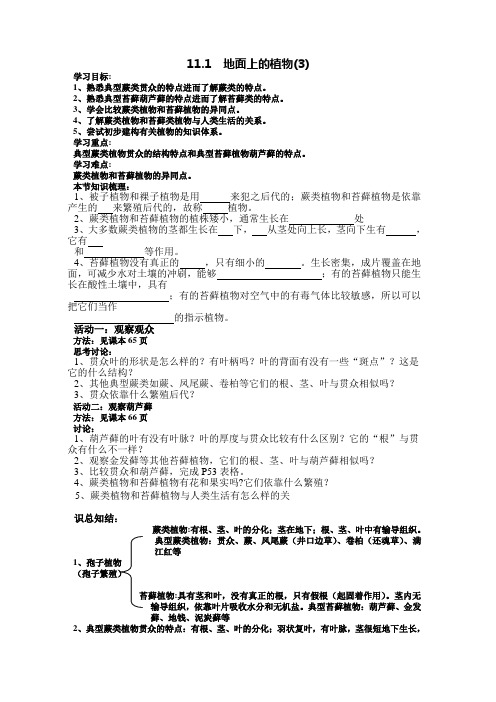 地面上的植物导学案3