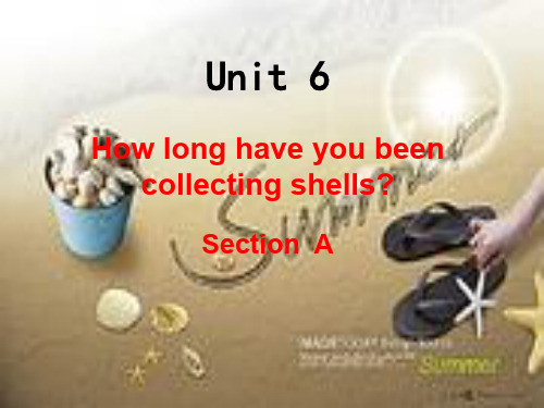 初中英语八年级下册Unit6 How long have you been collecting shells-0Section  A