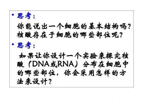 2019-人教版高中生物必修一 2.3遗传信息的携带者--核酸 课件(共37张PPT)-文档资料