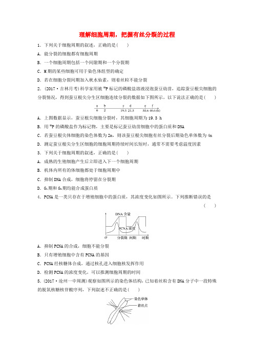 2019年高考生物练习第25练理解细胞周期把握有丝分裂的过程北师大版