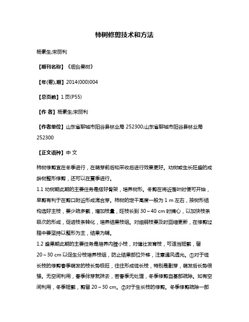 柿树修剪技术和方法