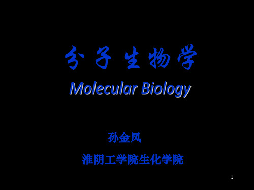 分子生物学复习全套课件105P课件 共106页