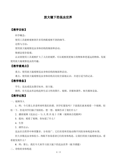 教科版小学六年级科学下册教案放大镜下的昆虫世界_教案2
