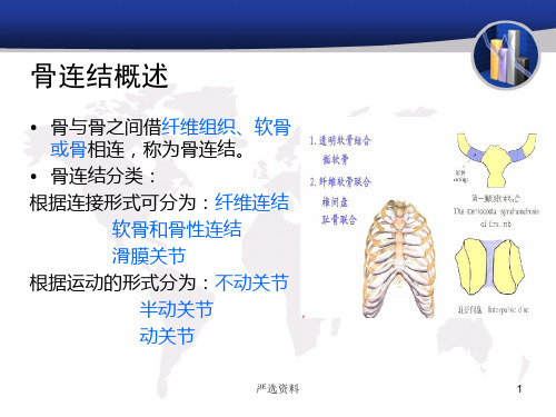 人体各关节概述行业荟萃