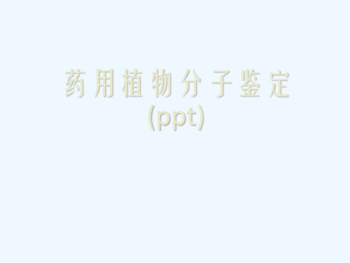 药用植物分子鉴定(ppt)