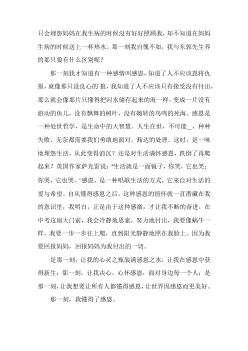 那一刻我懂得了什么作文实用一篇