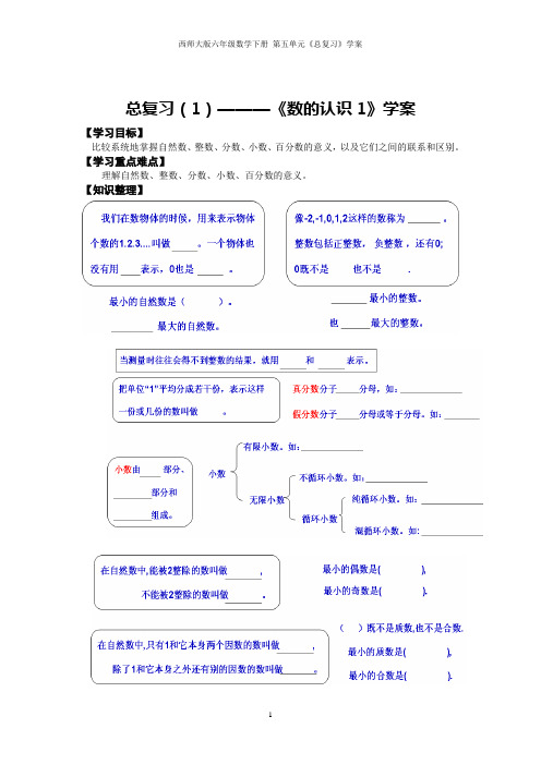 西师大版六年级数学下册 第五单元《总复习》学案