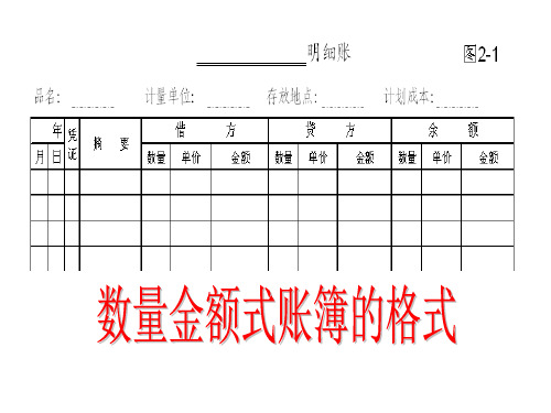 登记期初余额(数量金额式)