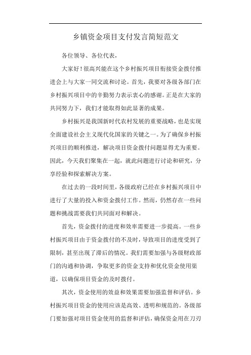 乡镇资金项目支付发言简短范文