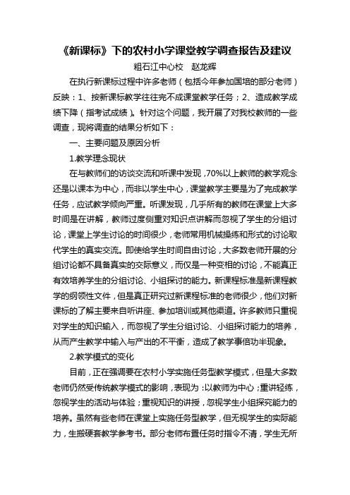 《新课标》调研报告doc