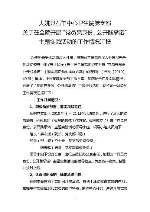 大姚县石羊中心卫生院关于在全院开展“党员亮身份公开践承诺”主(精)