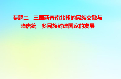 高考历史学业水平测试复习专题二三国两晋南北朝的民族交融与隋唐统一多民族封建国家的发展pptx课件