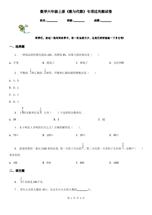 数学六年级上册《数与代数》专项过关测试卷