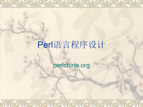 perl语言概述