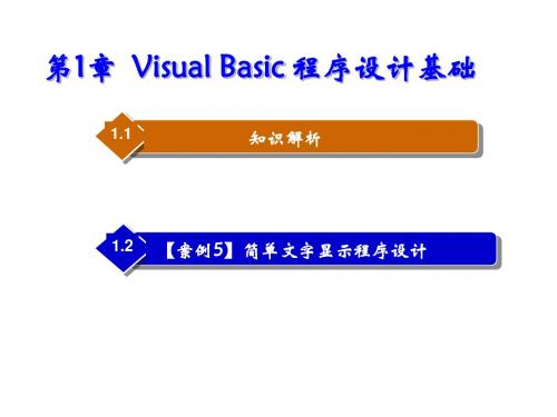 Visual Basic程序设计基础第1章