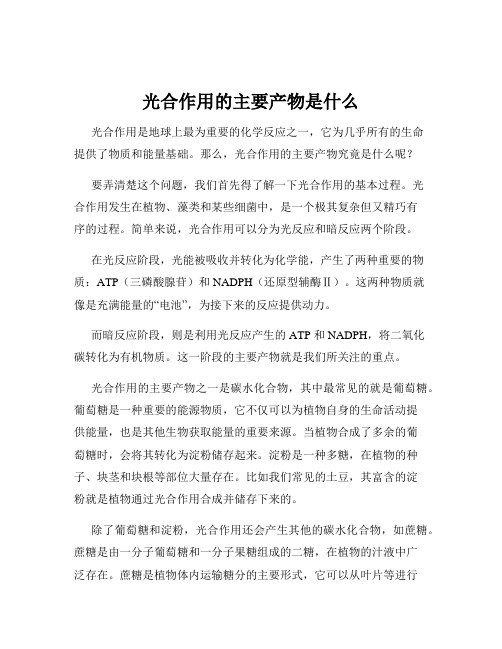 光合作用的主要产物是什么