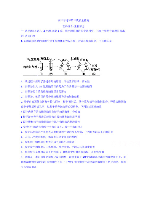 陕西省黄陵中学2018届高三(普通班)下学期第三次质量检测理综-生物试题含答案