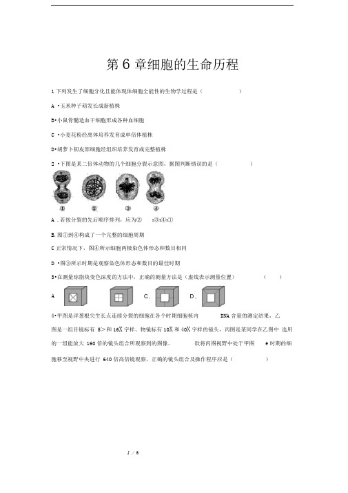 人教新课标高中生物必修一第6章细胞的生命历程复习与提高基础练习