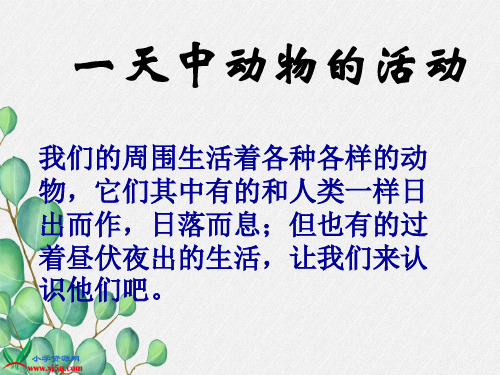 2022年鄂教版小学科学六上《一天中的动植物》公开课课件2