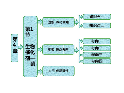 2021高中生物必修一第4章《细胞的物质代谢》ppt课件(北师大3份)(优秀)