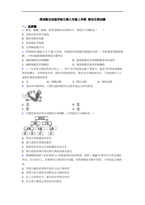 深圳新安实验学校生物八年级上学期 期末生物试题