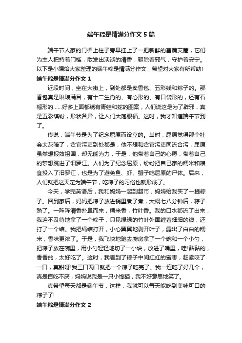 端午粽是情满分作文5篇