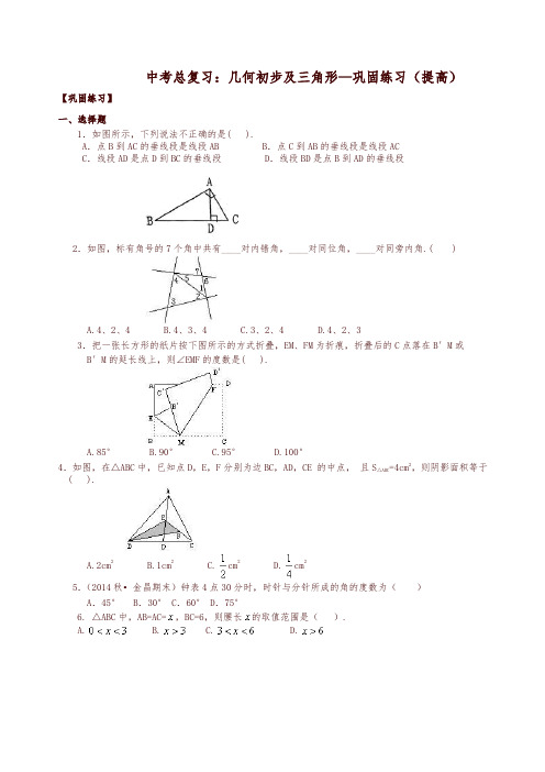 北师大初中数学中考总复习：几何初步及三角形--巩固练习(提高)-精编