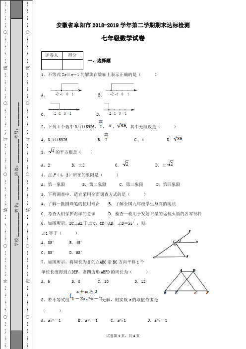 安徽省阜阳市2018-2019学年第二学期七年级数学下册期末达标检测试卷及答案带解析