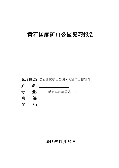 黄石矿石公园实习报告