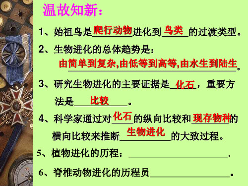 生物进化的原因(最新)