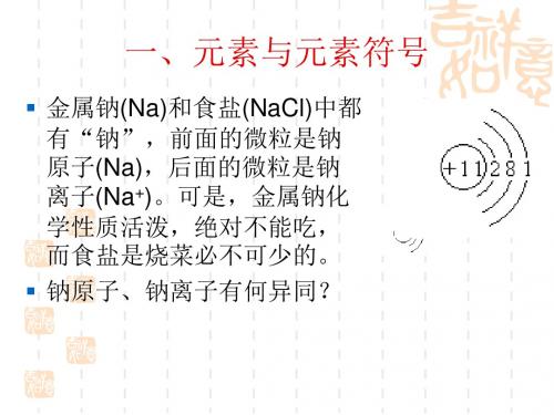 九年级(初三)化学 第四节物质组成的表示方法