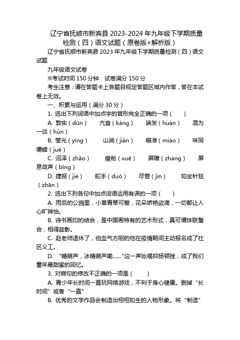 辽宁省抚顺市新宾县2023-2024年九年级下学期质量检测(四)语文试题(原卷版+解析版)