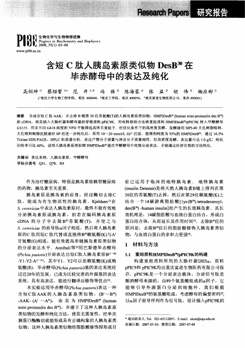 含短C肽人胰岛素原类似物DesB 30在毕赤酵母中的表达及纯化