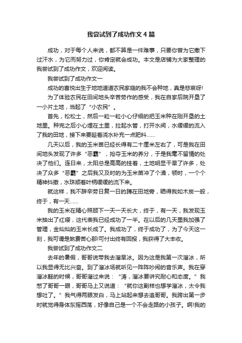 我尝试到了成功作文4篇