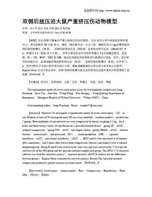 双侧后肢压迫大鼠严重挤压伤动物模型