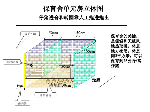 猪圈建筑图纸  保育舍示意图