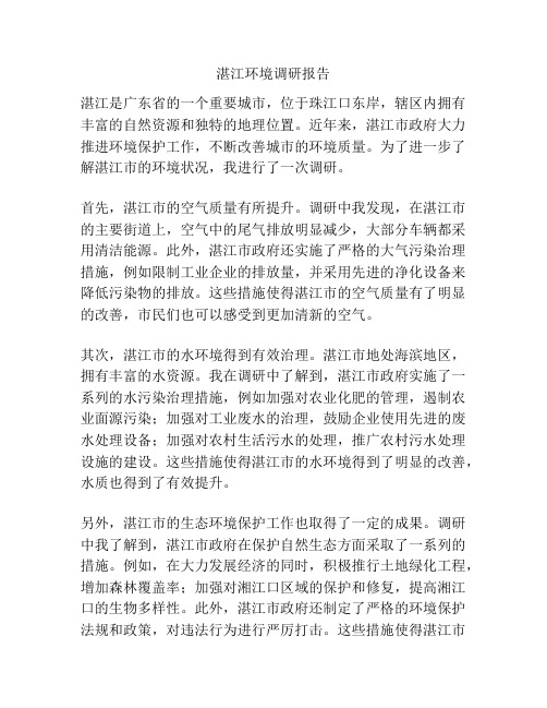 湛江环境调研报告