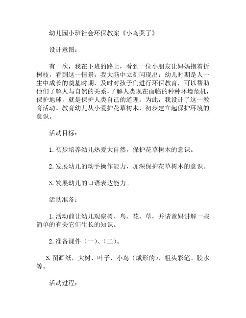 小班社会环保小鸟哭了教案