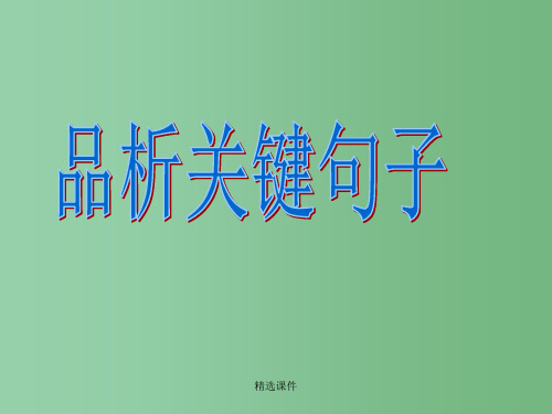 高中语文 记叙文阅读-句子赏析课件