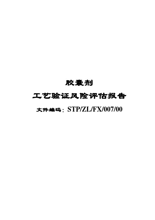 胶囊剂工艺验证风险评估报告