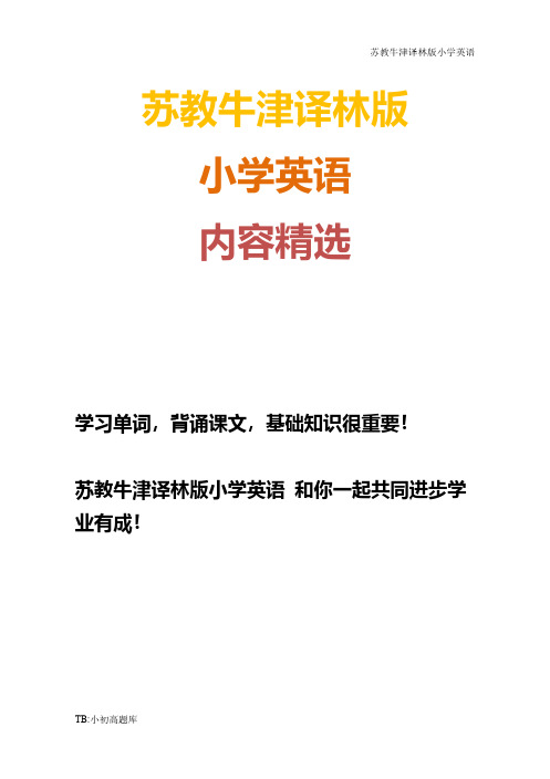 苏教牛津译林版小学英语六年级下册Unit 7 Summer holiday plans 习题