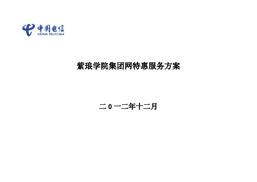 中国电信集团网特惠方案