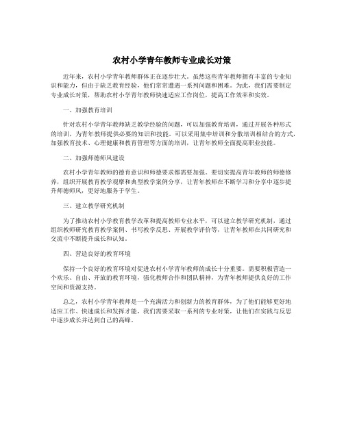 农村小学青年教师专业成长对策