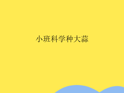 小班科学种大蒜(共7张PPT)